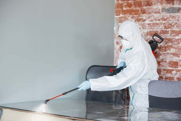 Best Forensic Mold Investigation  in Fisher, IL