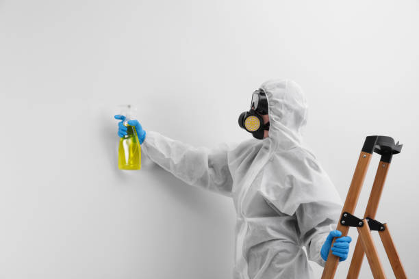 Mold Remediation for Rental Properties in Fisher, IL